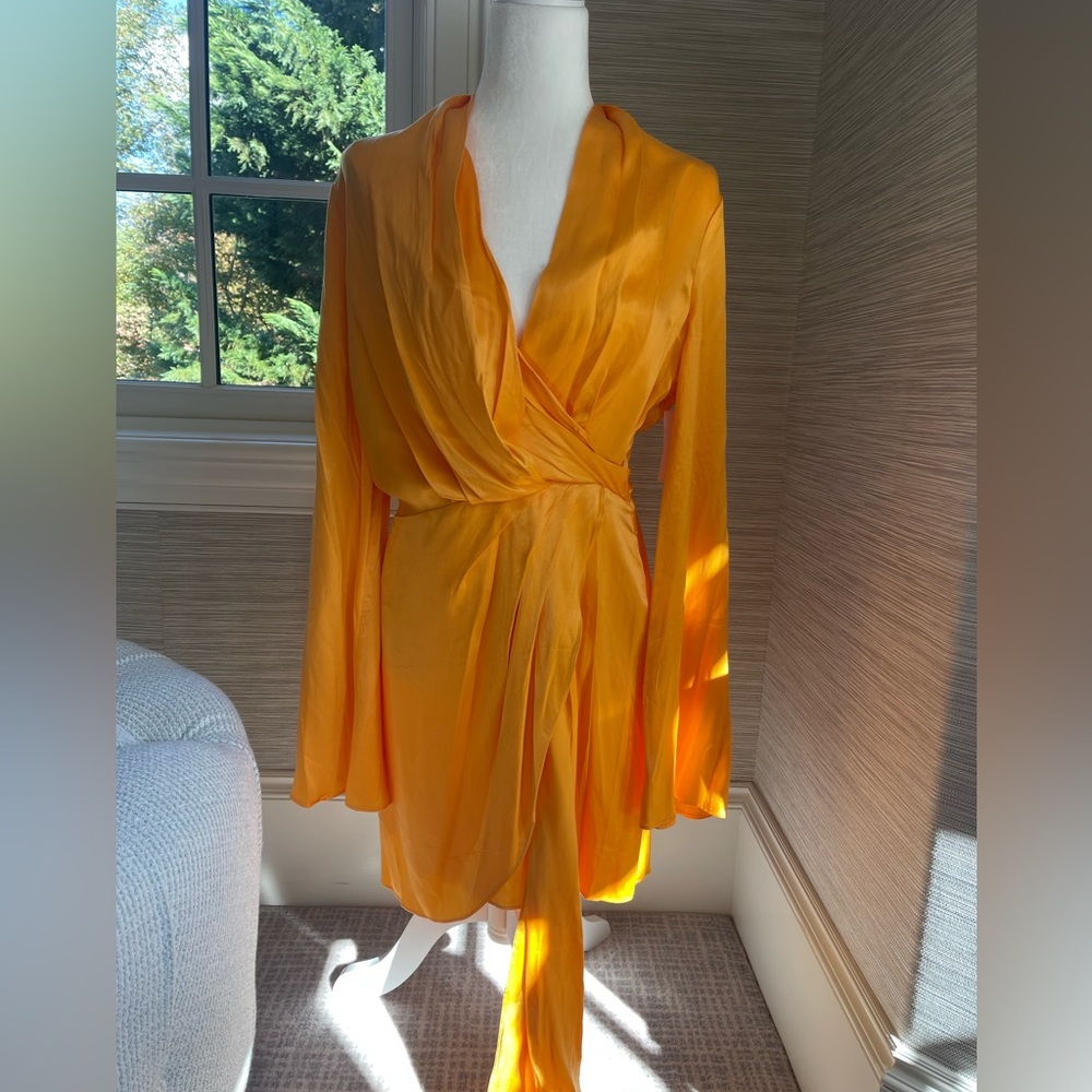 Beautiful and Bold Acler silky and flows dress